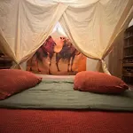Maison Nomade * Feignies