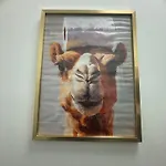 Maison Nomade Appartamento *