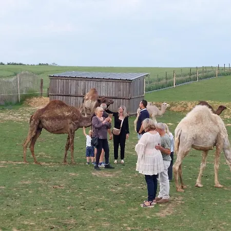 Maison Nomade Feignies