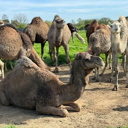 Maison Nomade Lejlighed