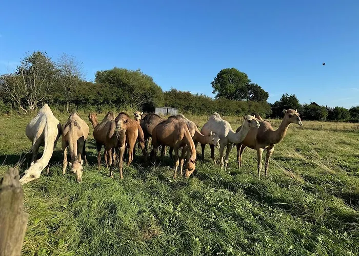 Maison Nomade Apartmán