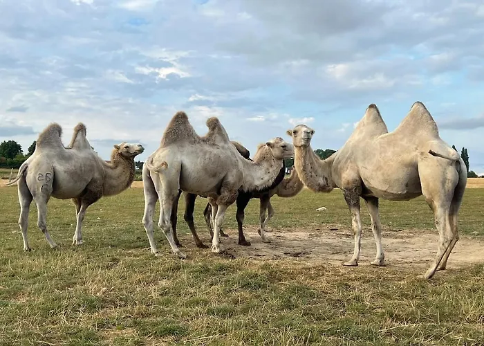 Maison Nomade Appartamento Feignies