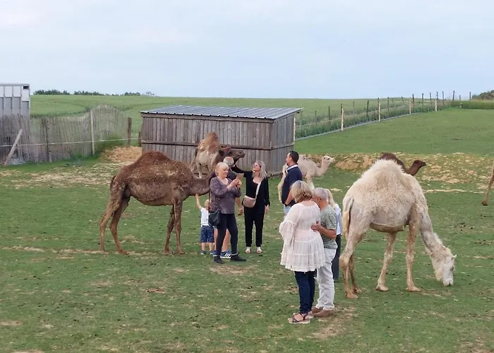 Maison Nomade Feignies