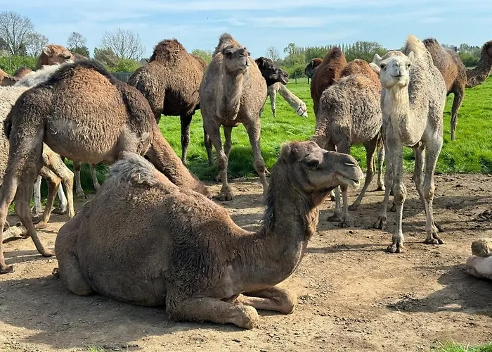 Maison Nomade Appartamento