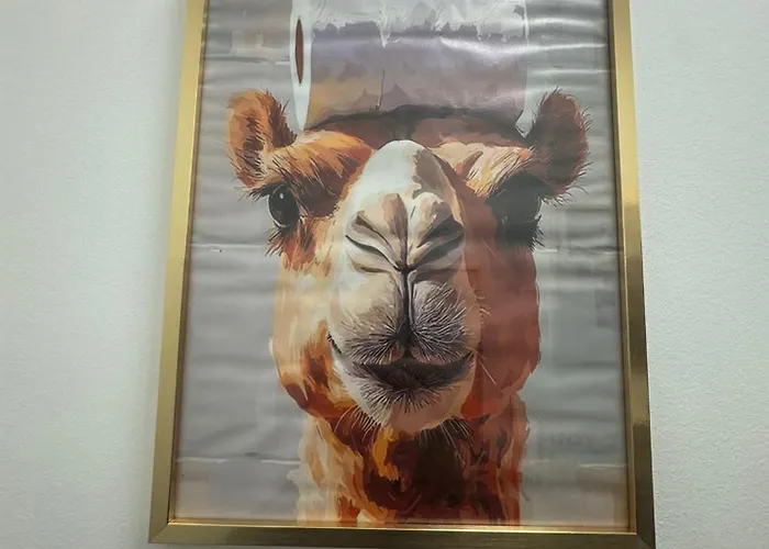 Maison Nomade Apartment *