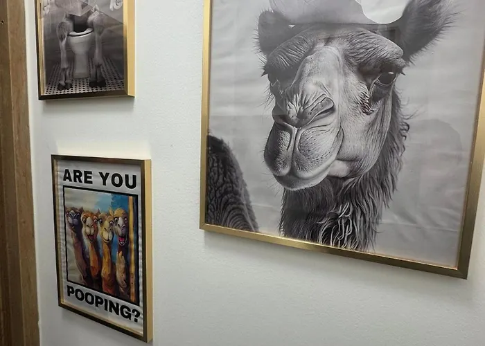 Appartamento Maison Nomade